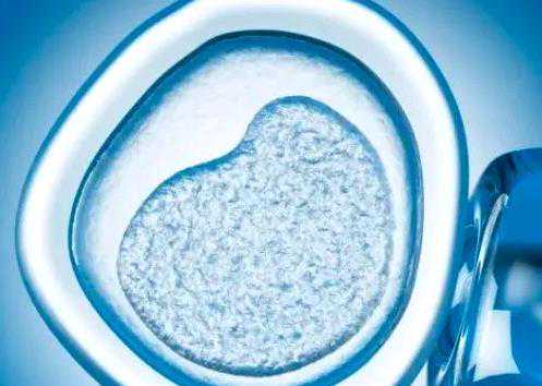 2023在北京申请供卵试管排队等待时长,北京试管助孕机构排名前附供卵生子医院