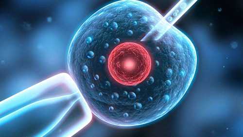 沈阳供卵机构,沈阳高龄试管婴儿都在谈干细胞，那治疗卵巢早衰靠谱吗？