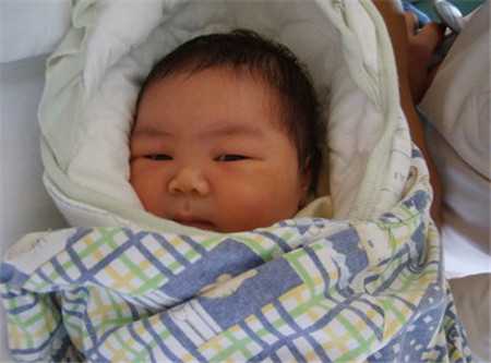 为什么在排卵期没北京代孕，为什么排卵期同房