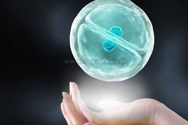 无排卵不孕症_生过孩子切除子宫_做泰国试管婴儿移植怎样的胚胎成功率更高泰