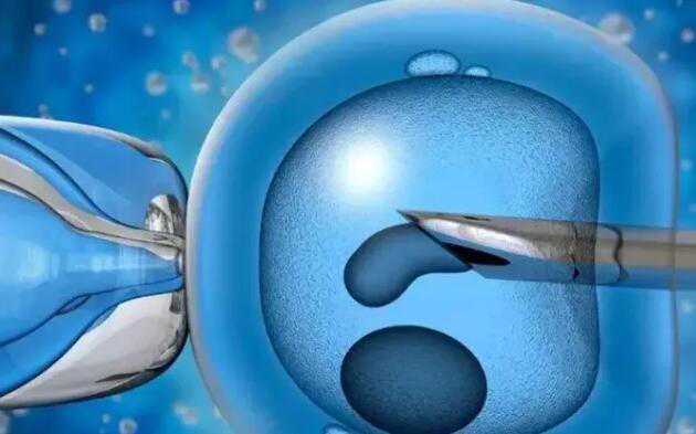 输卵管积水做试管_子宫切除后怀孕了_试管婴儿和普通婴儿，智商和寿命会有啥